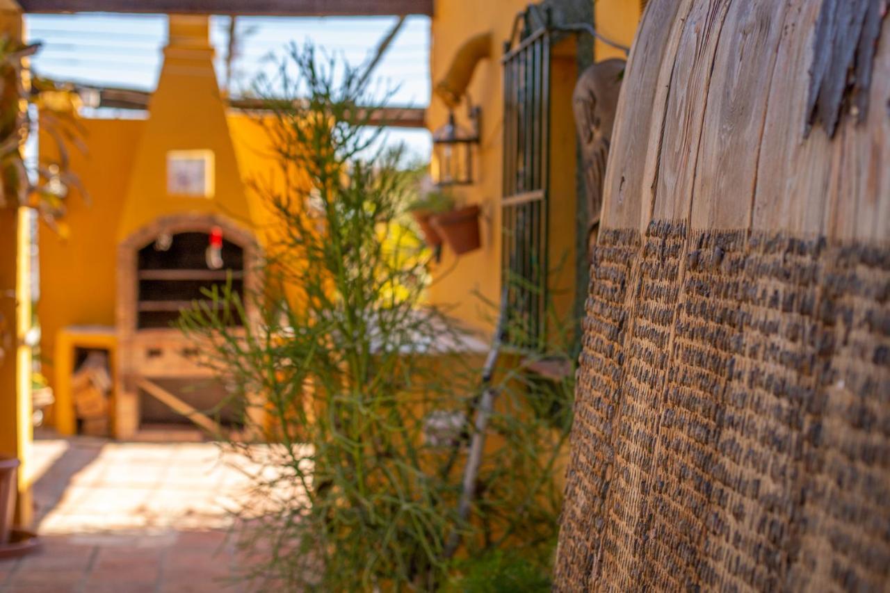 Hanami Finca Cumbres Borrascosas Естепона Екстериор снимка
